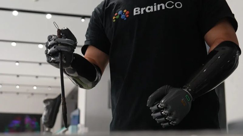 企业搜索数据库索引，价格几何？揭秘其成本构成与价值**